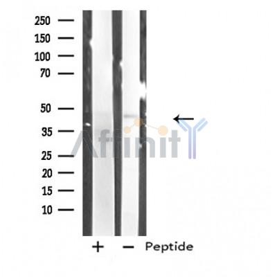 Валидация Affinity DF4826 - 16583