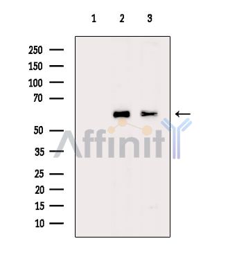 Валидация Affinity DF14414 - 10353