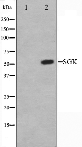 Валидация Affinity AF6001 - 3182