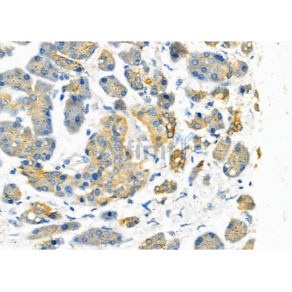 Валидация Affinity DF7398 - 19133