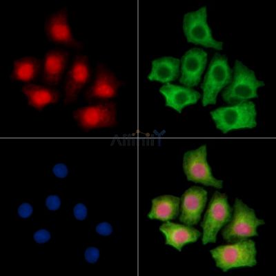 Валидация Affinity DF14526 - 10518