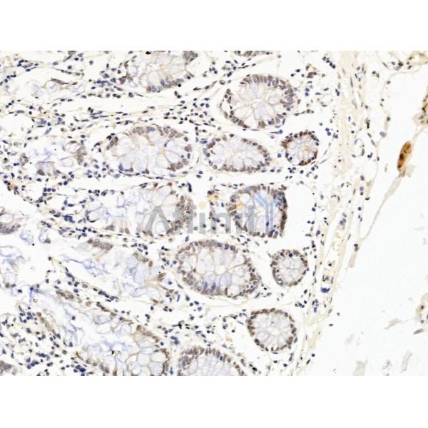 Валидация Affinity DF13564 - 9017