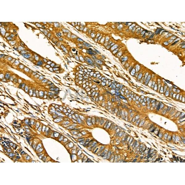 Валидация Affinity AF5287 - 2822