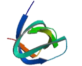 Osteoclast Stimulating Factor 1 (OSF) Osteoclast Stimulating Factor 1 (OSF)