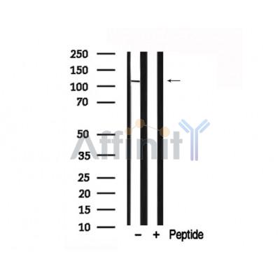 Валидация Affinity AF7764 - 4471