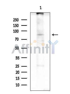 Валидация Affinity DF14627 - 10654