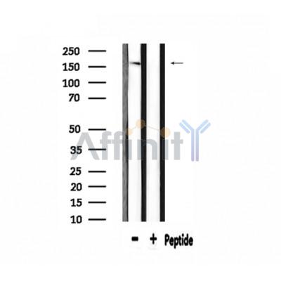 Валидация Affinity DF3873 - 15027