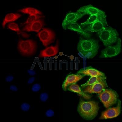 Валидация Affinity DF12213 - 6483