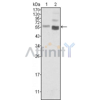 Валидация Affinity BF0602 - 5322