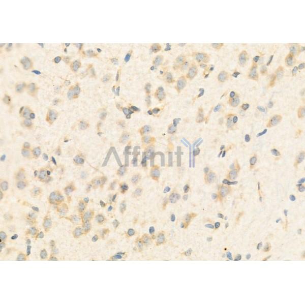 Валидация Affinity DF12470 - 7020