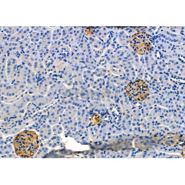 Валидация Affinity DF9449 - 22027