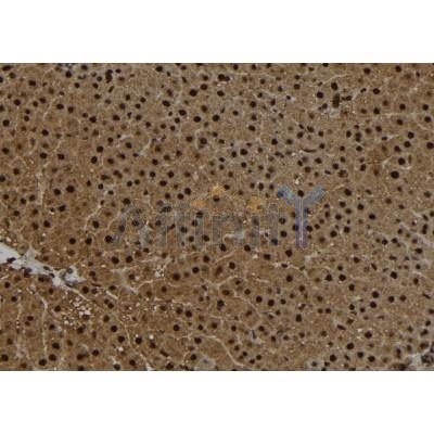 Валидация Affinity DF12252 - 6572