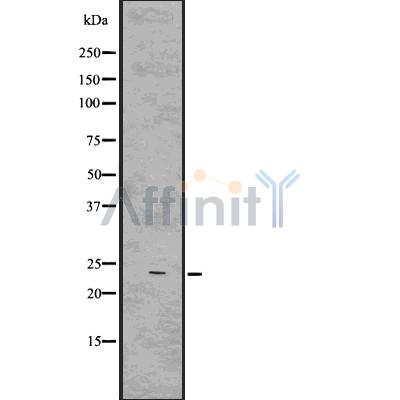 Валидация Affinity DF7546 - 19300