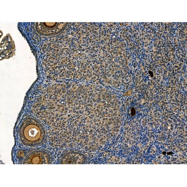 Валидация Affinity AF5147 - 2545