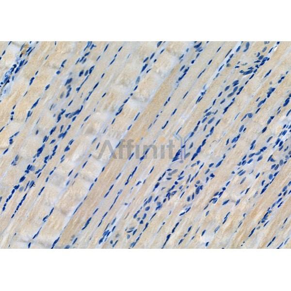 Валидация Affinity DF6670 - 18156