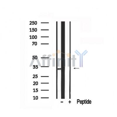 Валидация Affinity AF7675 - 4358