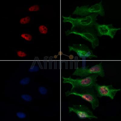 Валидация Affinity DF3105 - 13866