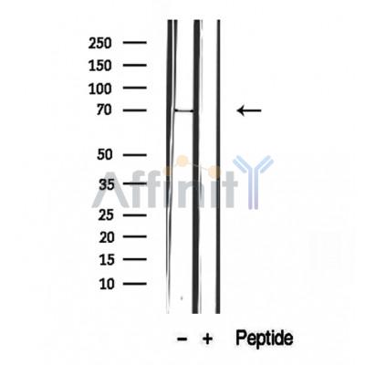 Валидация Affinity DF12401 - 6887