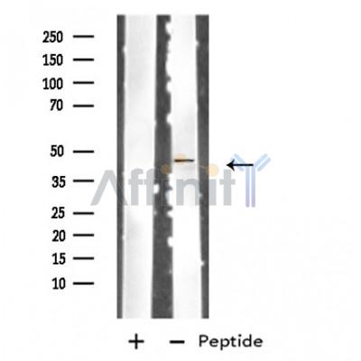Валидация Affinity DF4820 - 16576