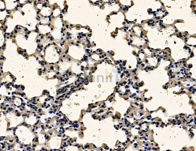 Валидация Affinity DF15962 - 12485