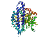 Angiotensin I Converting Enzyme (ACE) Angiotensin I Converting Enzyme (ACE)