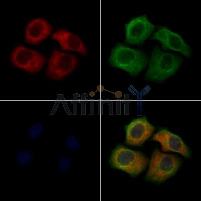 Валидация Affinity DF6848 - 18421