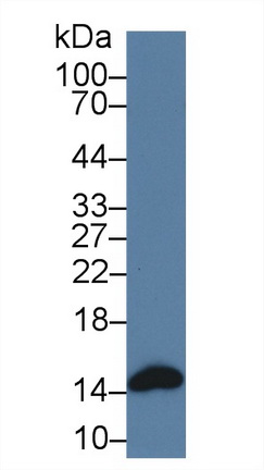 9505