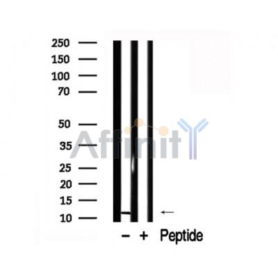 Валидация Affinity AF7876 - 4616