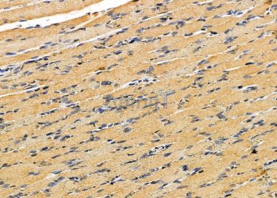 Валидация Affinity DF9749 - 22565