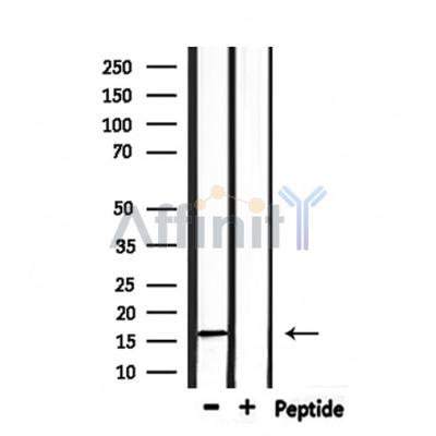 Валидация Affinity DF7522 - 19269
