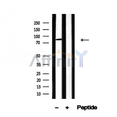 Валидация Affinity AF4671 - 2287