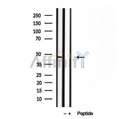 Валидация Affinity DF12030 - 6057
