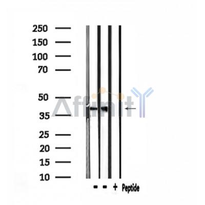 Валидация Affinity DF3928 - 15115