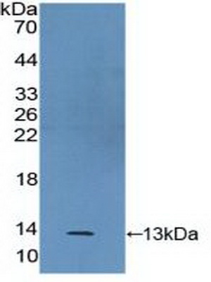 40825