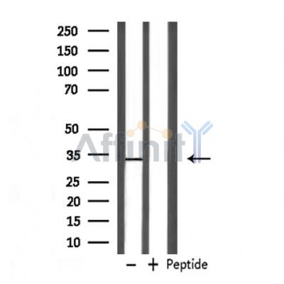 Валидация Affinity DF6925 - 18526
