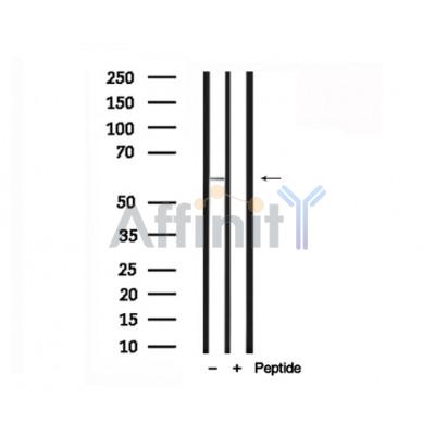 Валидация Affinity AF7708 - 4398