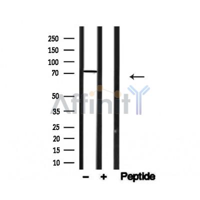 Валидация Affinity AF4751 - 2370