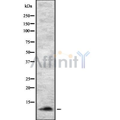 Валидация Affinity DF8750 - 20763
