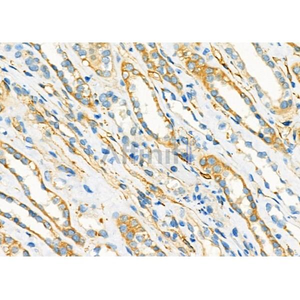 Валидация Affinity DF9667 - 22425