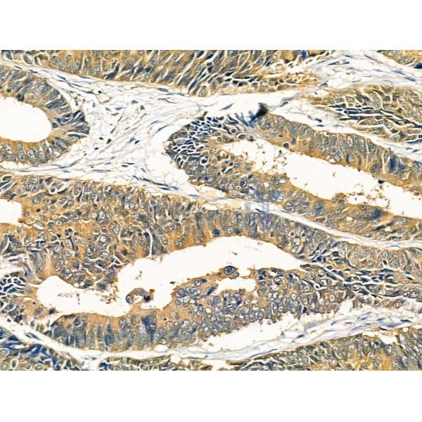 Валидация Affinity AF5284 - 2817