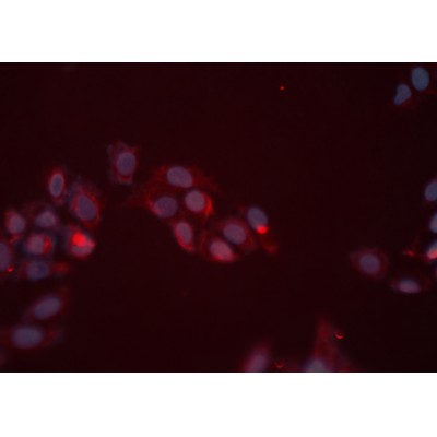 Валидация Affinity DF6144 - 17378