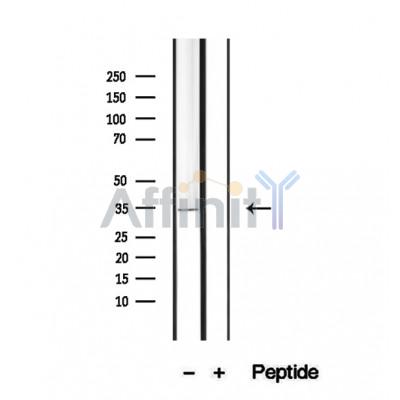Валидация Affinity DF12447 - 6976