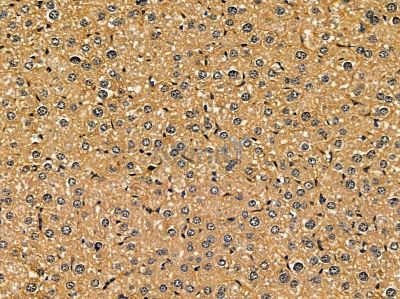 Валидация Affinity DF14354 - 10264