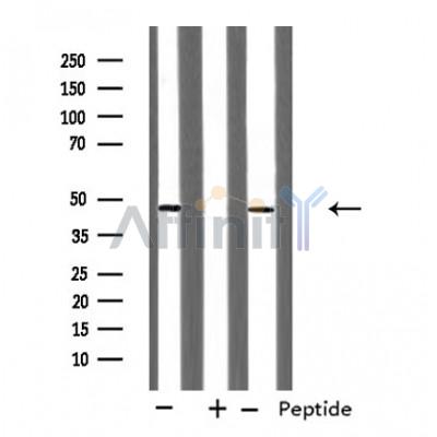 Валидация Affinity DF4835 - 16598