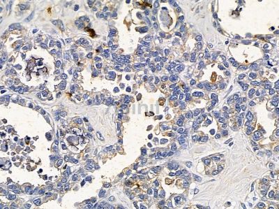 Валидация Affinity DF9519 - 22162