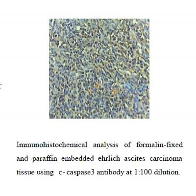 Валидация Affinity AF7022 - 4173