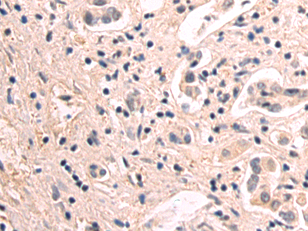 Валидация AssayVector ARM2493(4462)