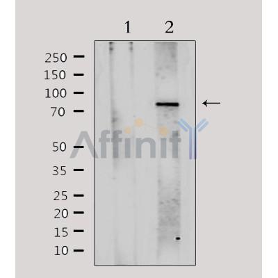 Валидация Affinity DF3007 - 13743