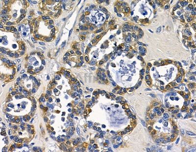 Валидация Affinity DF15844 - 12351