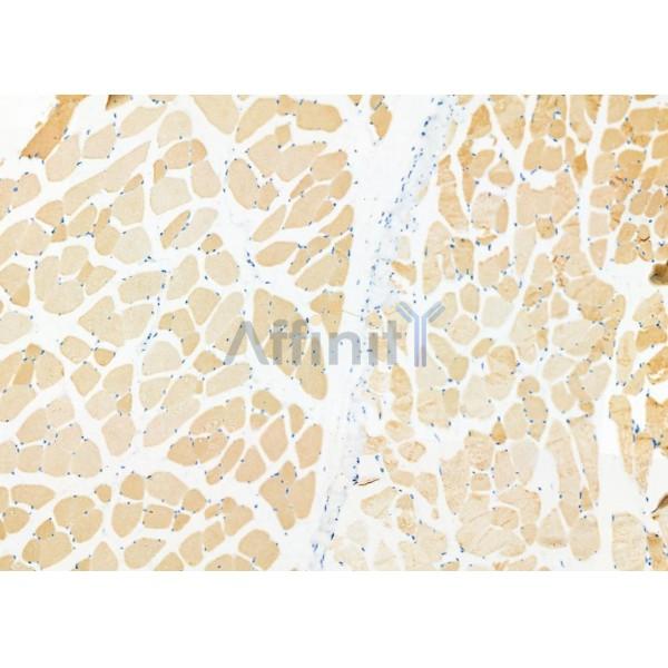 Валидация Affinity DF7173 - 18828